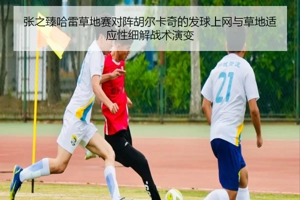 张之臻哈雷草地赛对阵胡尔卡奇的发球上网与草地适应性细解战术演变